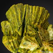 Autunite