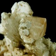 Powellite on Scolecite with Apophyllite