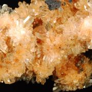 Creedite