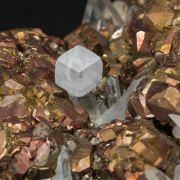 Pyrite with Quartz
