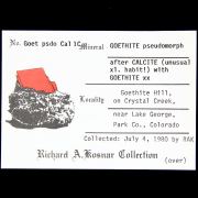 Goethite pseudomorph after Calcite with Goethite and “Onegite”