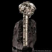 Pyrite on Pyrite ps. Baculites yokayamai