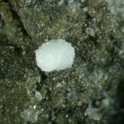 Wavellite (large crystals !) with Stannite and Augelite