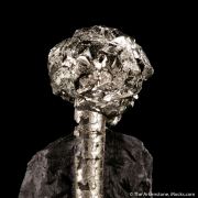 Pyrite on Pyrite ps. Baculites yokayamai