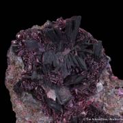 Erythrite