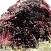 Erythrite + Phlogopite.