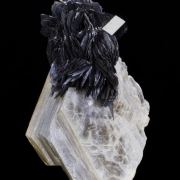 Tantalite on Muscovite with Schorl