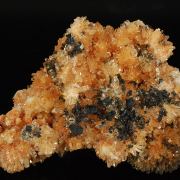 Creedite
