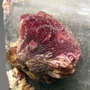 Elbaite (variety rubellite) on Calcite