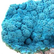Chrysocolla.