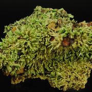 Pyromorphite