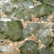 Fluorapatite with Siderite and Muscovite