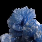 Vauxite on Wavellite