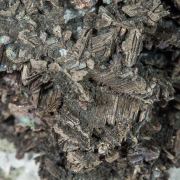 Bismuth with Calcite