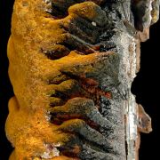 Goethite perimorphose after gypsum LAVRION