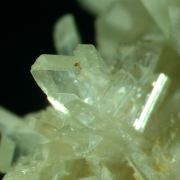 Paravauxite with Sigloite