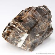 Phlogopite Mica