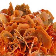 Wulfenite