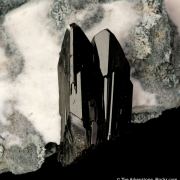 Neptunite on Natrolite