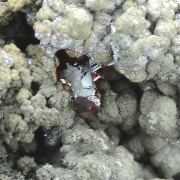 Proustite with Skutterudite