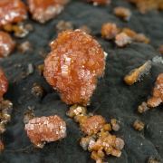 Vanadinite on manganese oxides