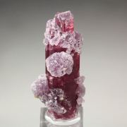 gem TOURMALINE var. ELBAITE, LEPIDOLITE