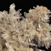 Creedite