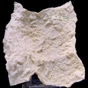 Dolomite cast TSUMEB