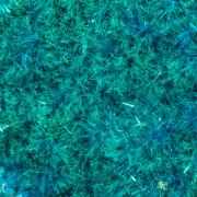 Serpierite with Aurichalcite