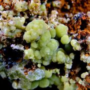 Wulfenite on Mimetite