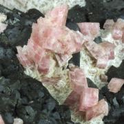 Rhodochrosite