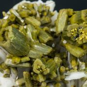 Pyromorphite with Baryte