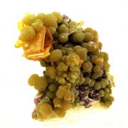 Wulfenite + Mimetite.