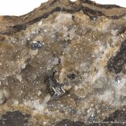 Diaphorite (Type Locality)