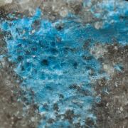 Carbonatecyanotrichite