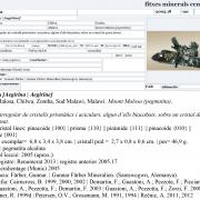 Aegirine with Quartz (variety smoky)