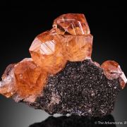 Grossular var. Hessonite on chlorite