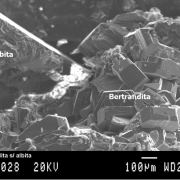 Fluorapatite with Bertrandite, Albite, Muscovite and Quartz