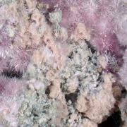 Bieberite, Kottigite, Erythrite