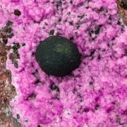 Kolwezite on Cobaltian Calcite