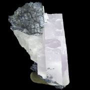 Djurleite