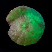 Quartz var. Chalcedony