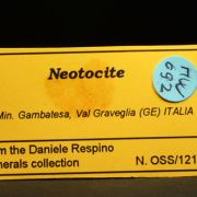 Neotocite