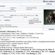 Mottramite with Calcite