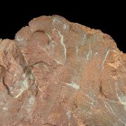 Copper / (leaf-like specimen)