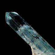 Beryl var. Aquamarine on Albite