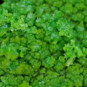 Pyromorphite