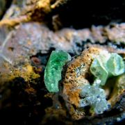 Green Anglesite with Cerussite