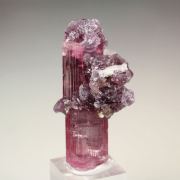 gem TOURMALINE var. ELBAITE, LEPIDOLITE