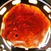 Spessartine Garnet
